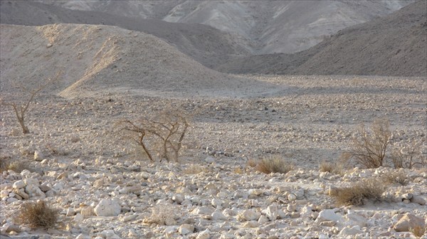 Пустыня Негев 051